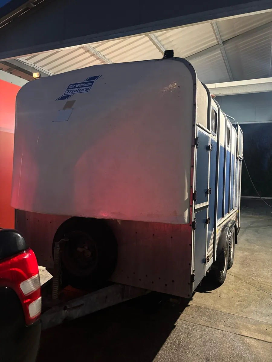 Iforwilliams jumbo - Image 4