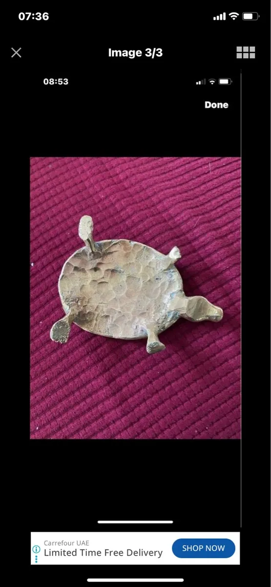 Brass Turtle Paperweight - Image 3