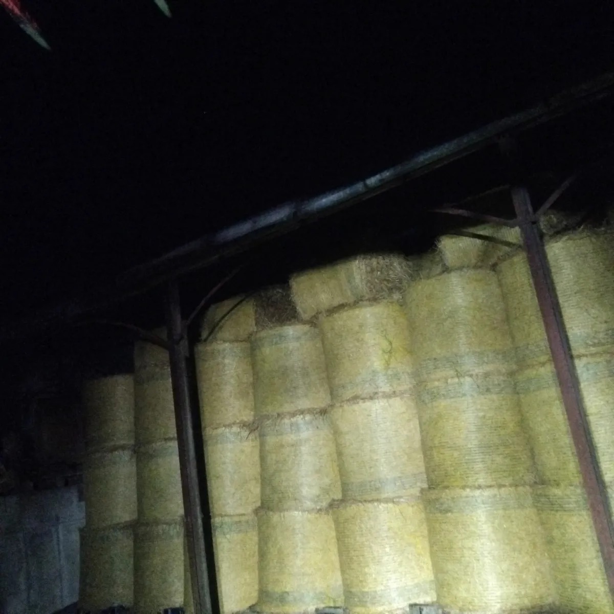 Round bales of barley straw