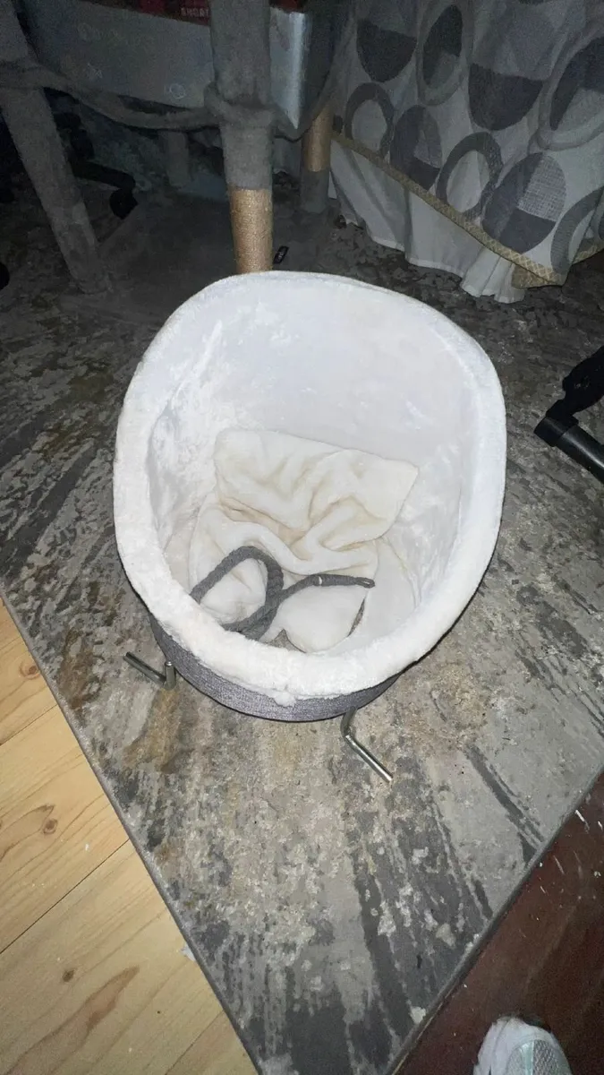 Cat Radiator Bed - Image 3