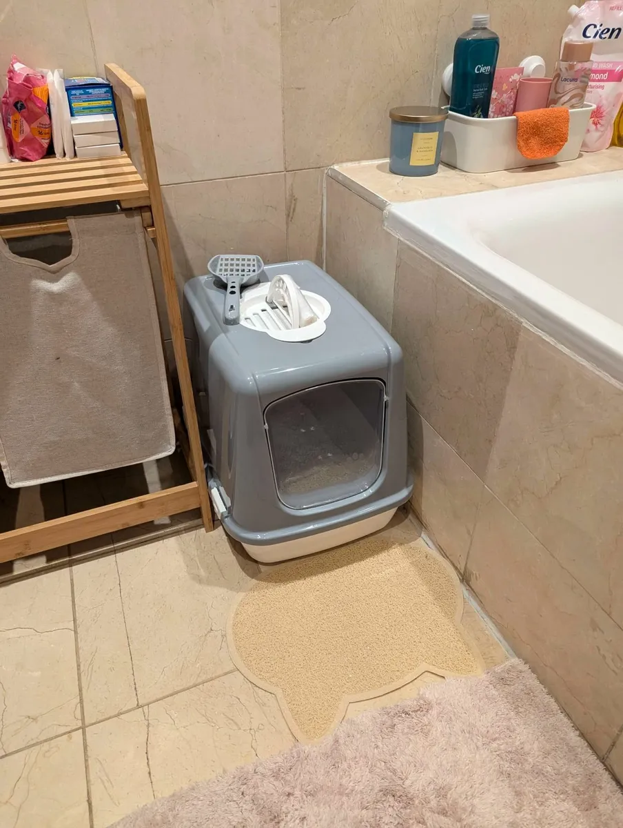 Cat Litter Tray - Image 1