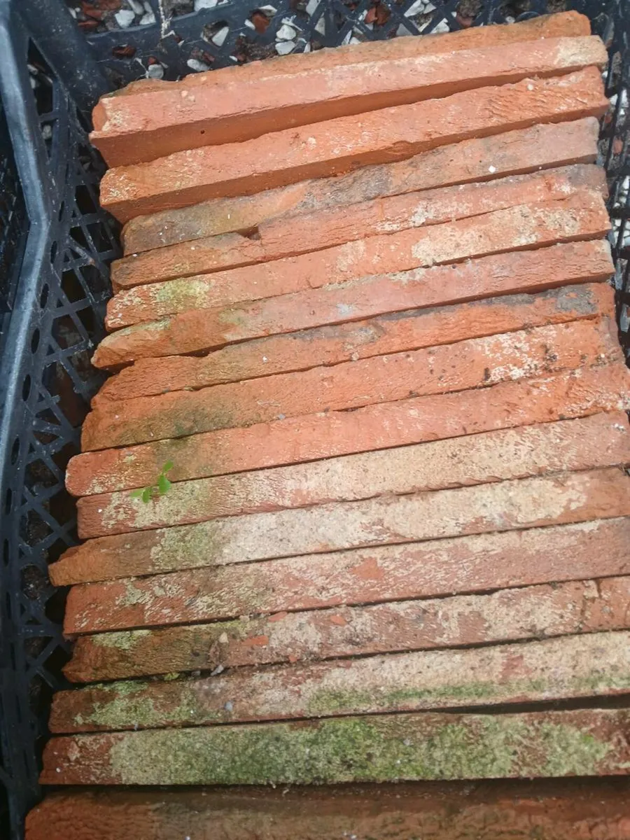 Brick cladding - Image 1