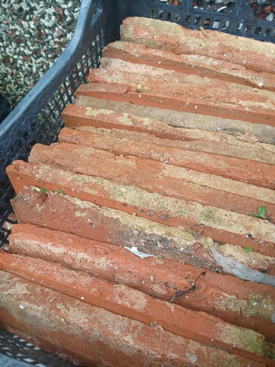 Brick cladding - Image 4