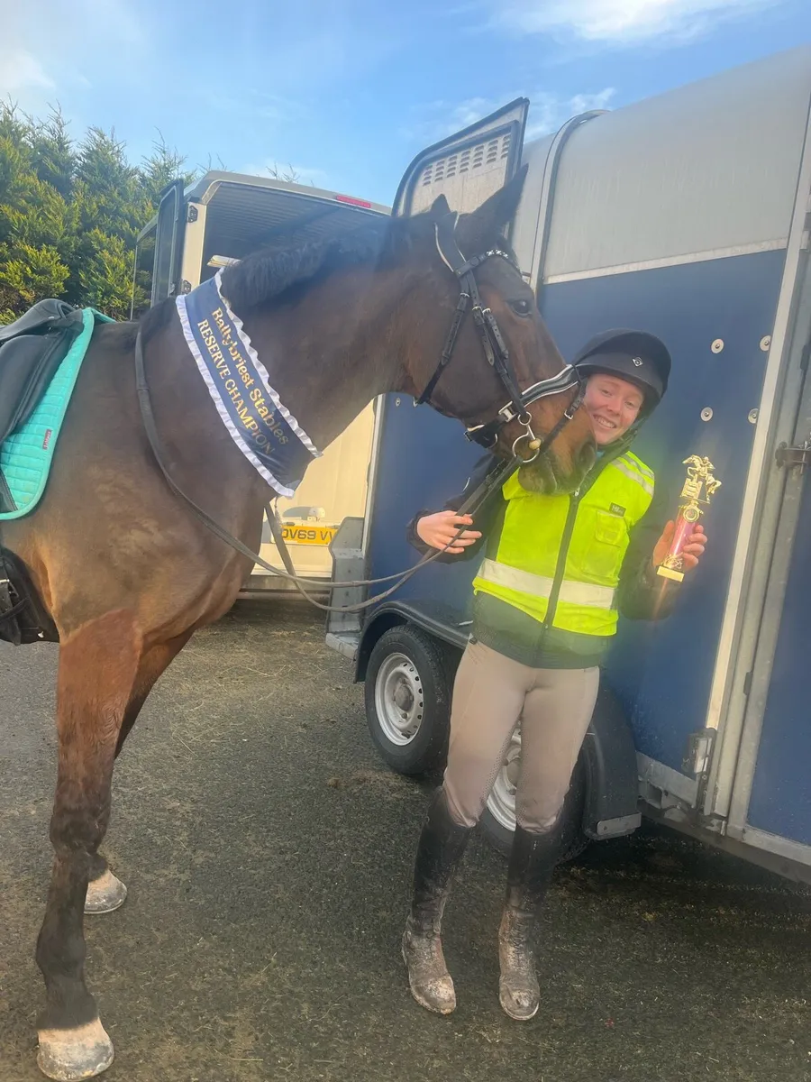 Alrounder mare - Image 2