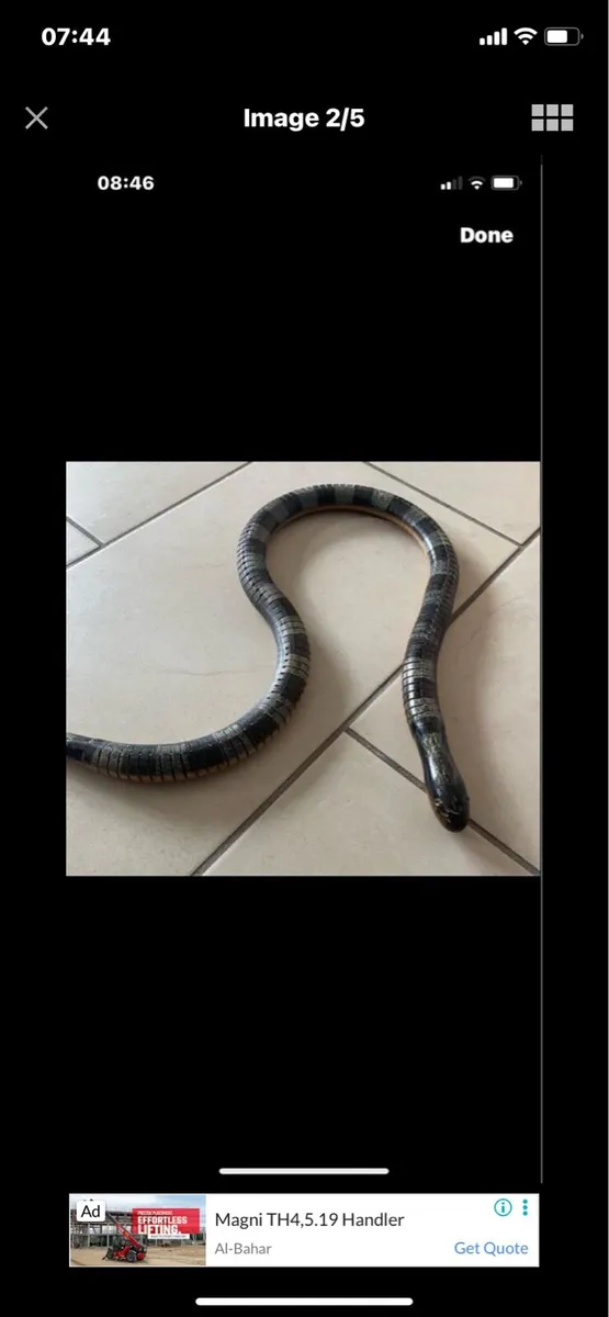 Hand Carved Movable Snake Sculpture - Image 2