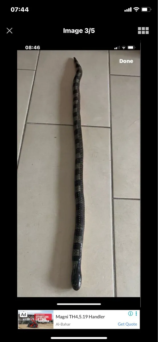 Hand Carved Movable Snake Sculpture - Image 3