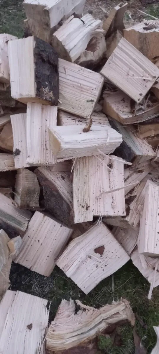 Firewood - Image 4