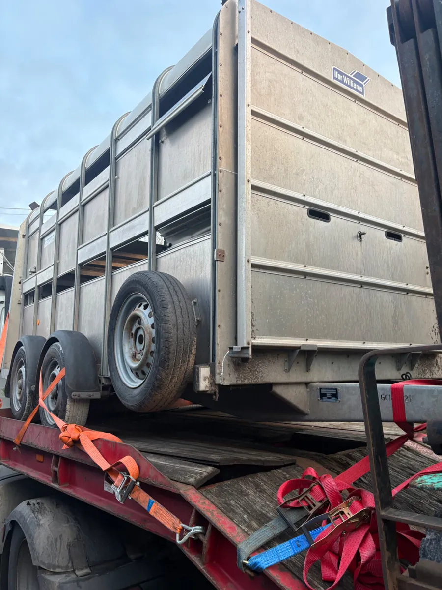 Ifor Williams 12ft cattle trailer