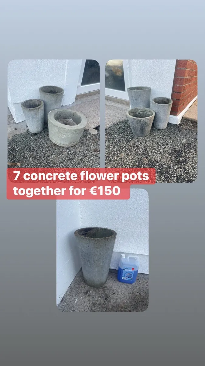7 concrete flower pots together €150 - Image 1