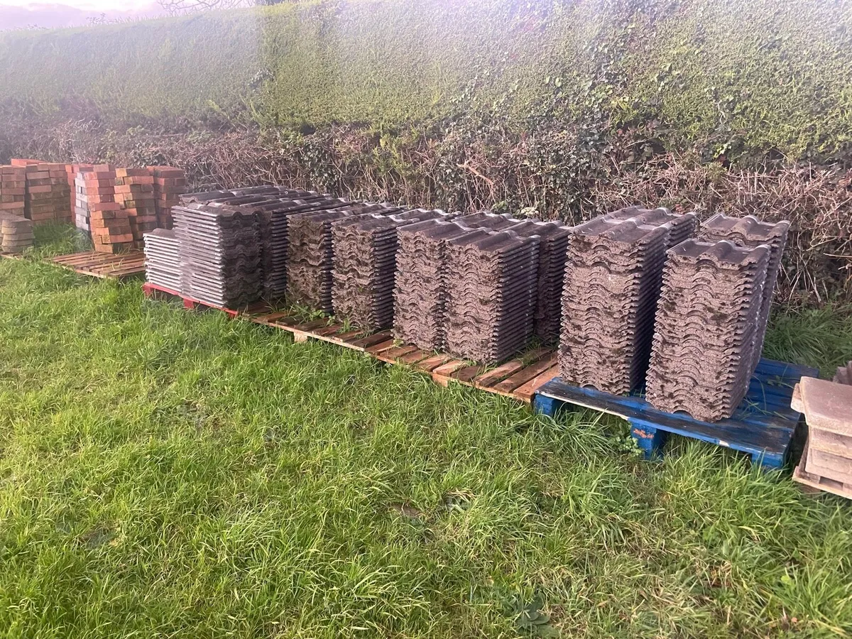 Roof tiles red land 50 (about 600 piece) - Image 1