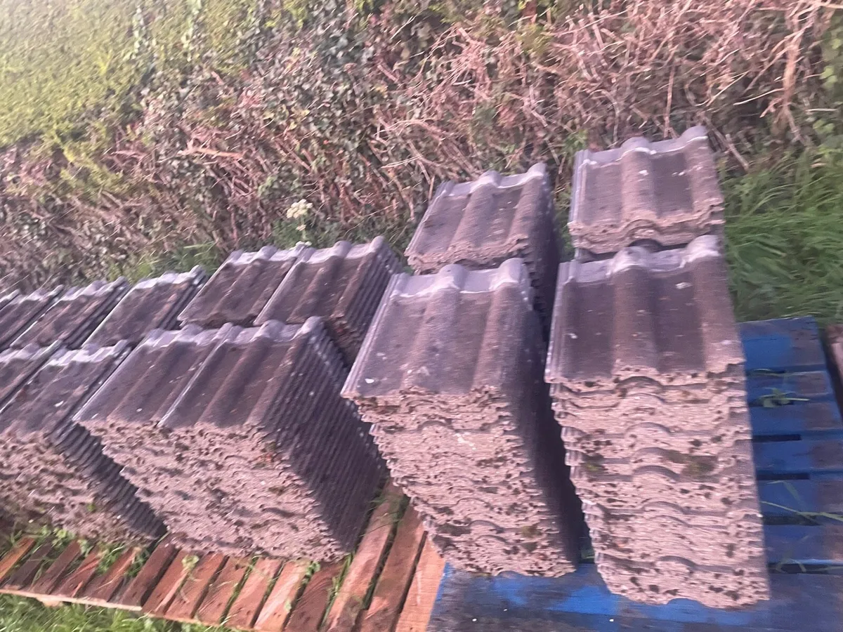 Roof tiles red land 50 (about 600 piece) - Image 2