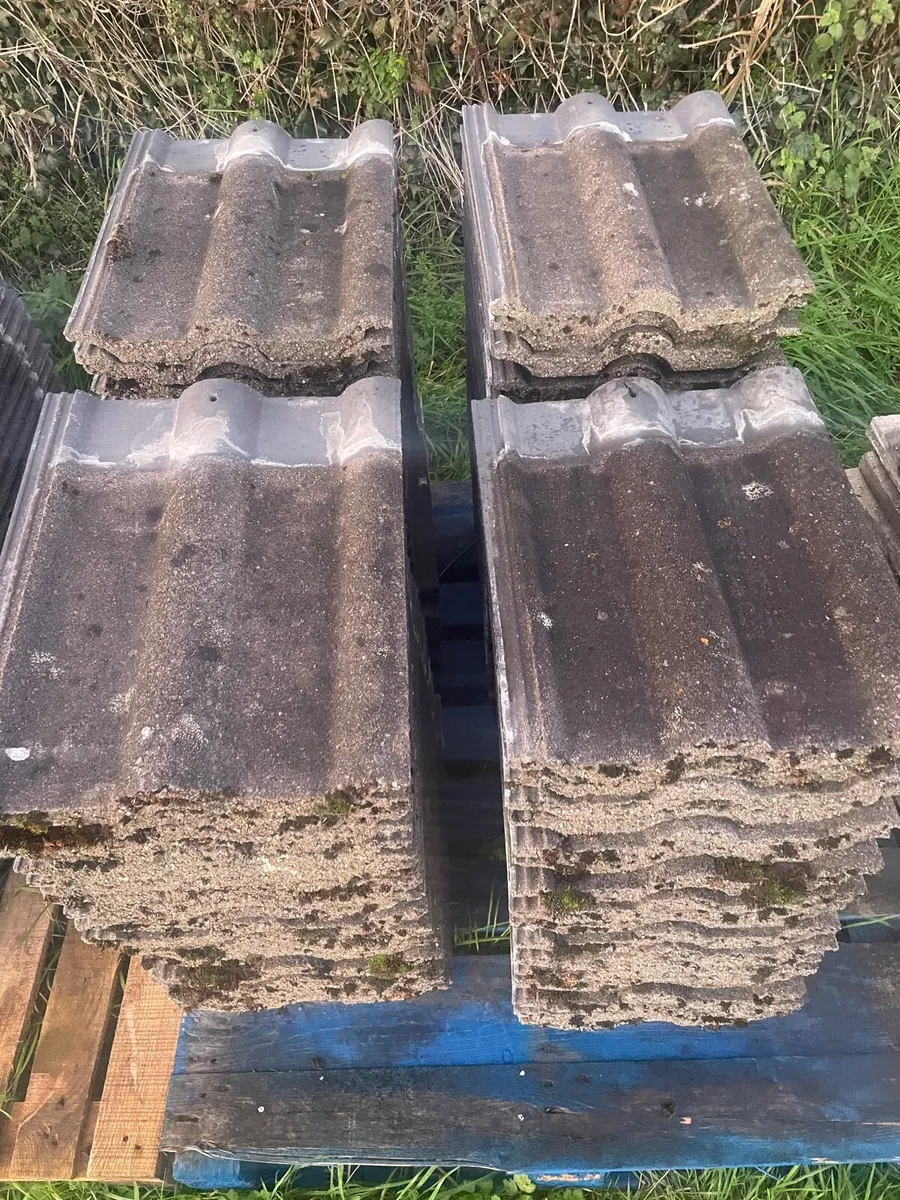Roof tiles red land 50 (about 600 piece) - Image 4