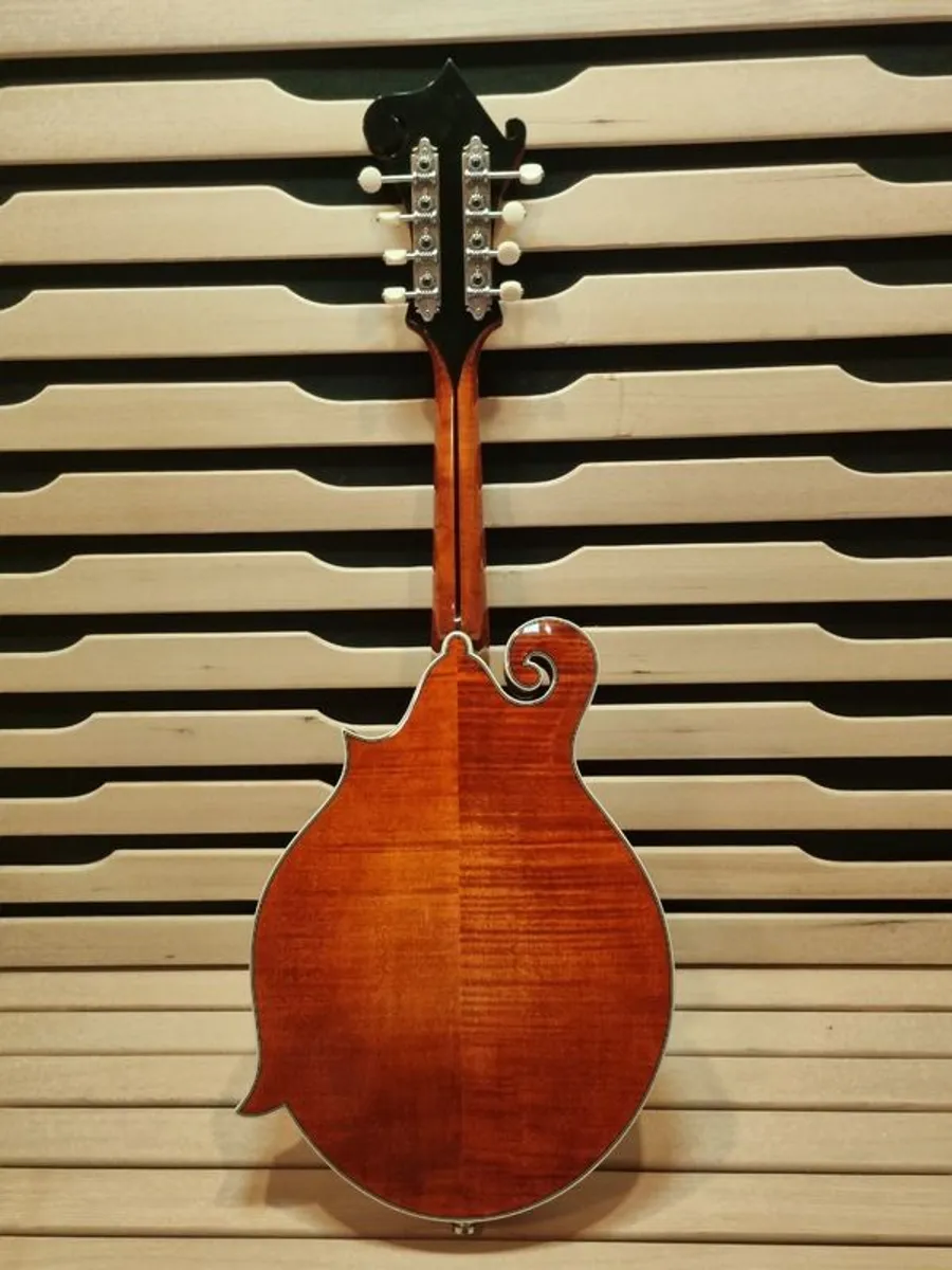 Eastman 815MD PGE - Image 2