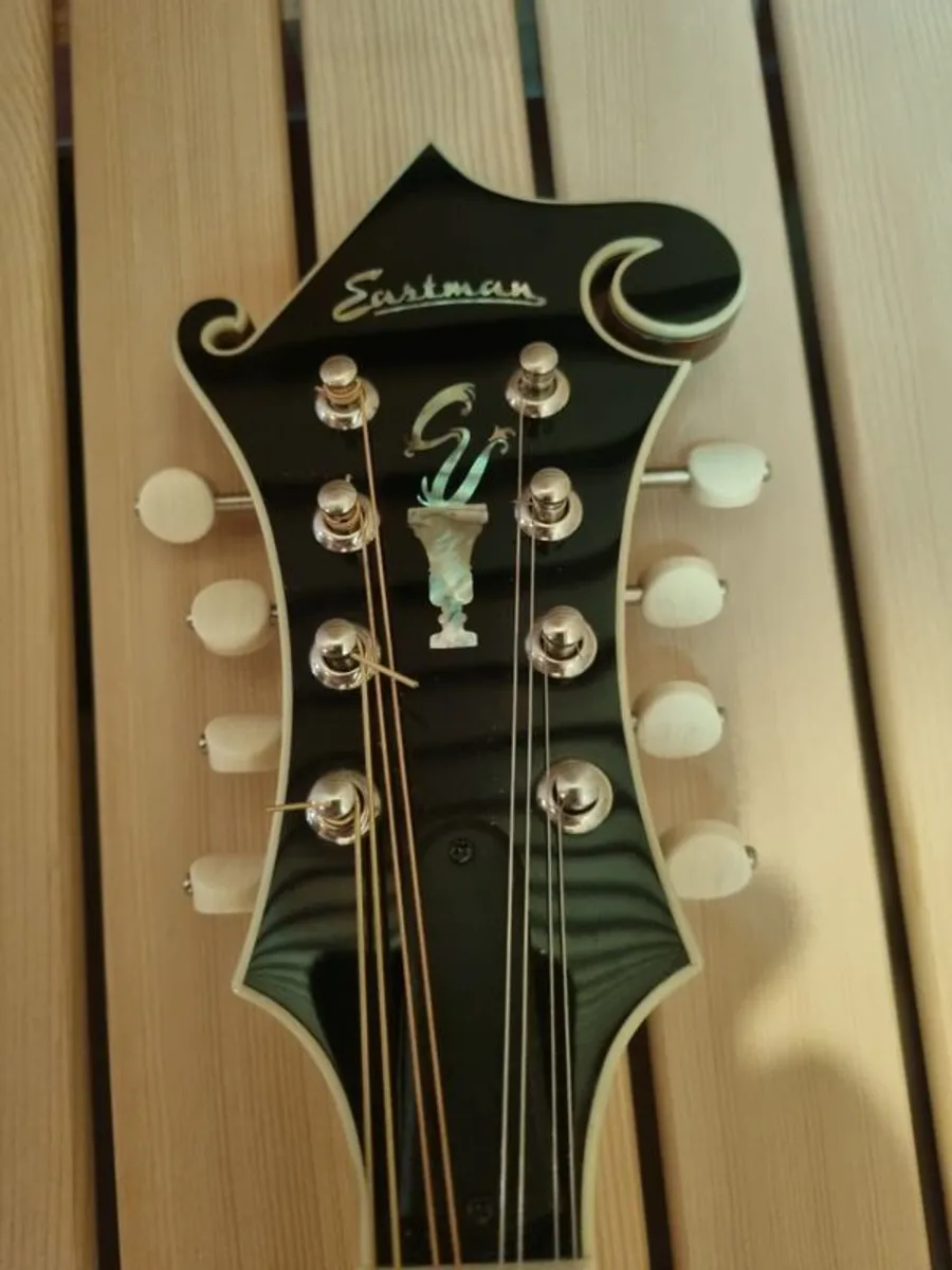 Eastman 815MD PGE - Image 4