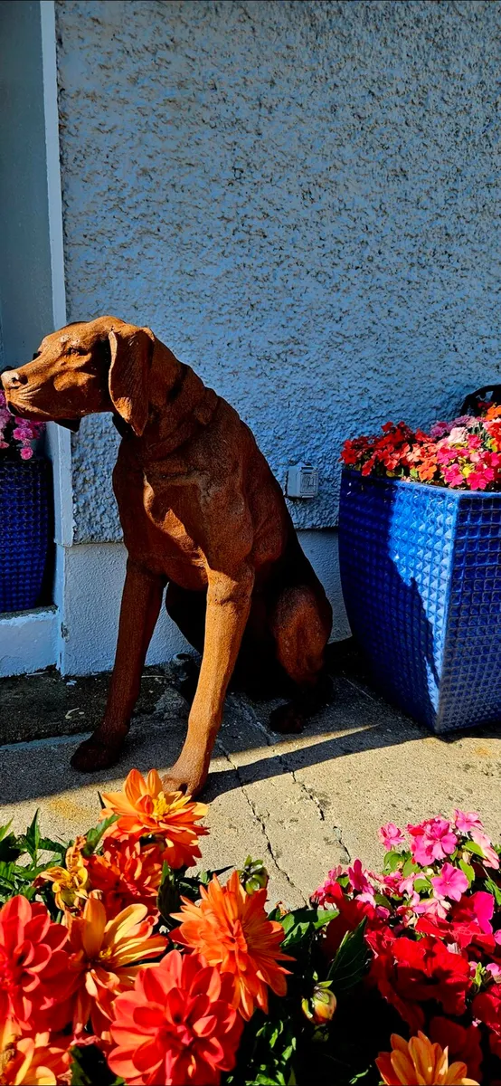 CAST IRON DOGS - Image 3