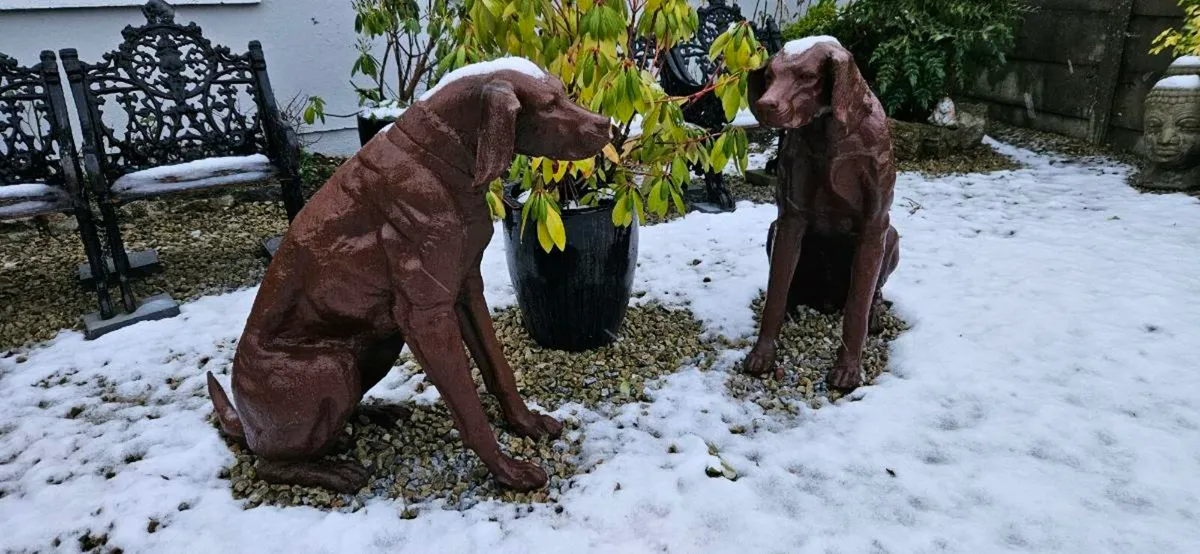 CAST IRON DOGS - Image 4