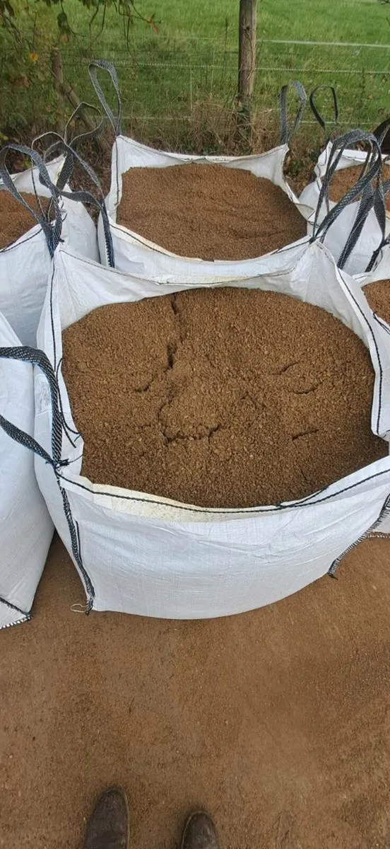 Screenings/Ballylusk - Image 1