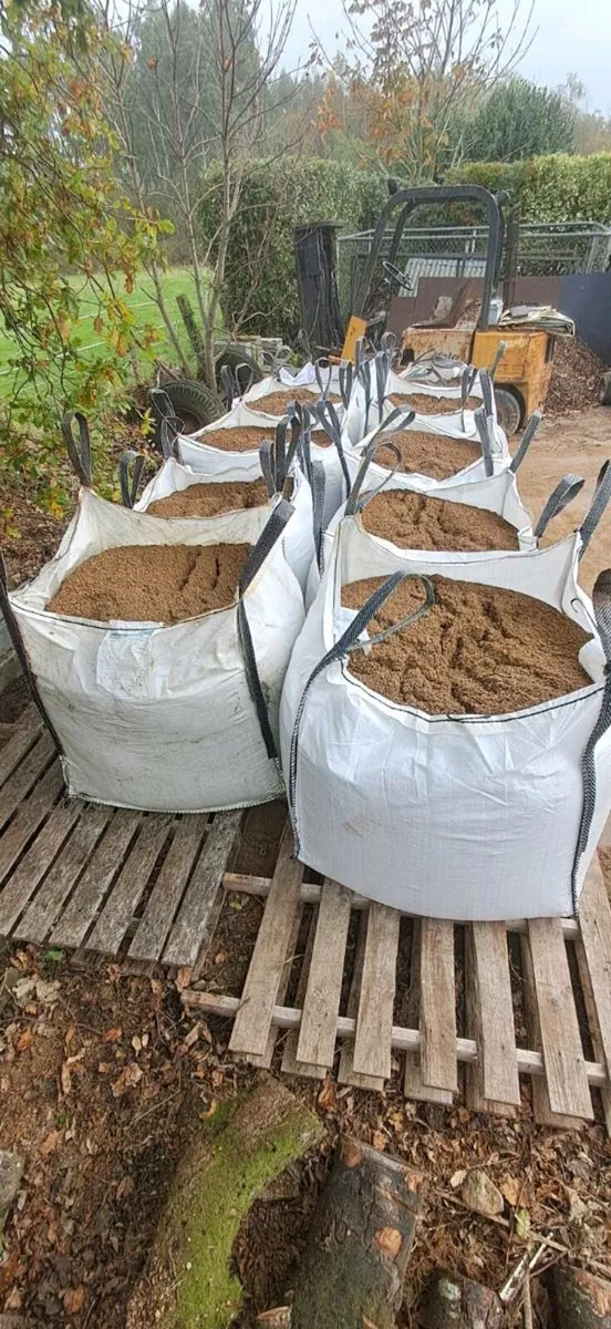 Screenings/Ballylusk - Image 2