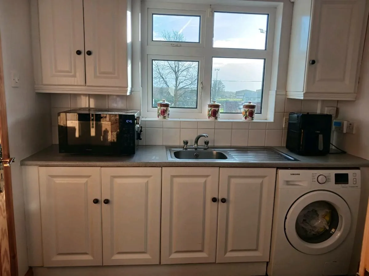 Utility room presses - Image 1