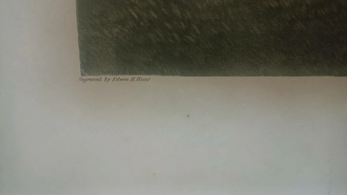 Galtee more engraving by Edwin h hunt - Image 4