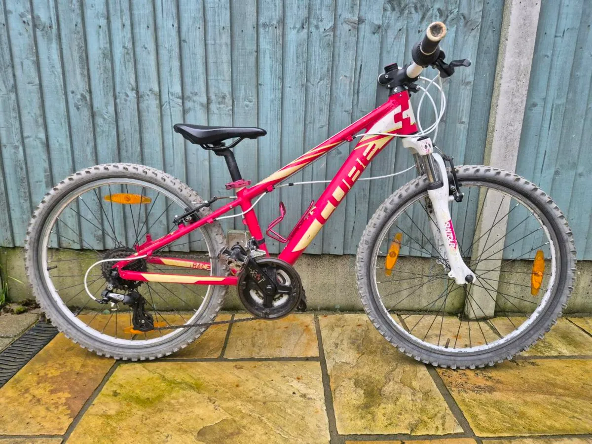 Kids 24" Cube Bike - Image 1