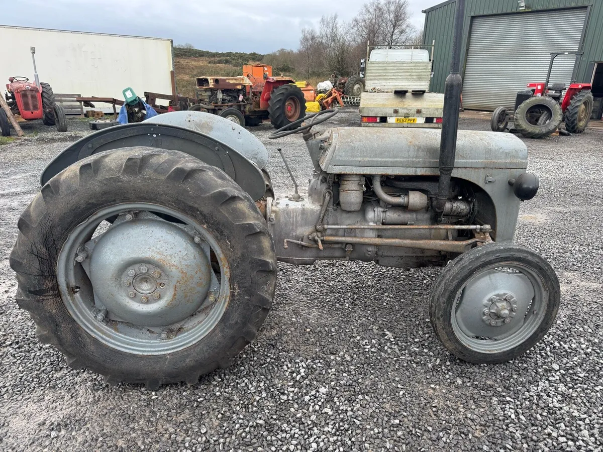 Ferguson grey diesel - Image 3