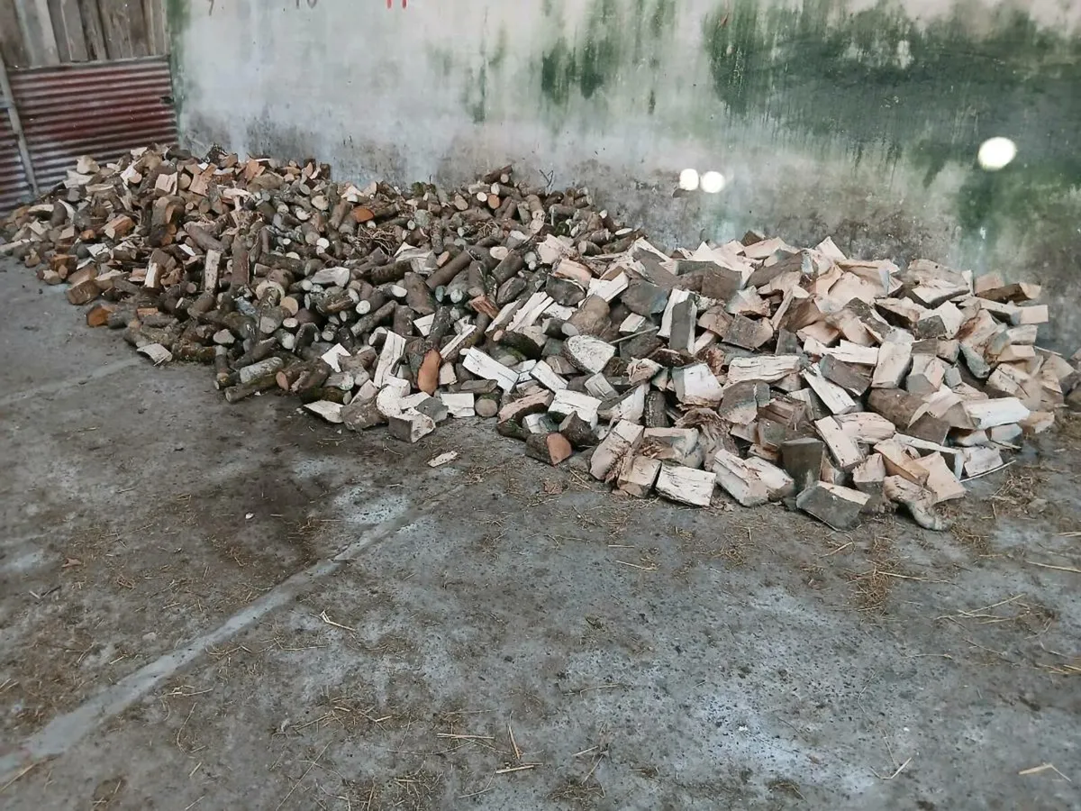 Firewood ready to burn - Image 1