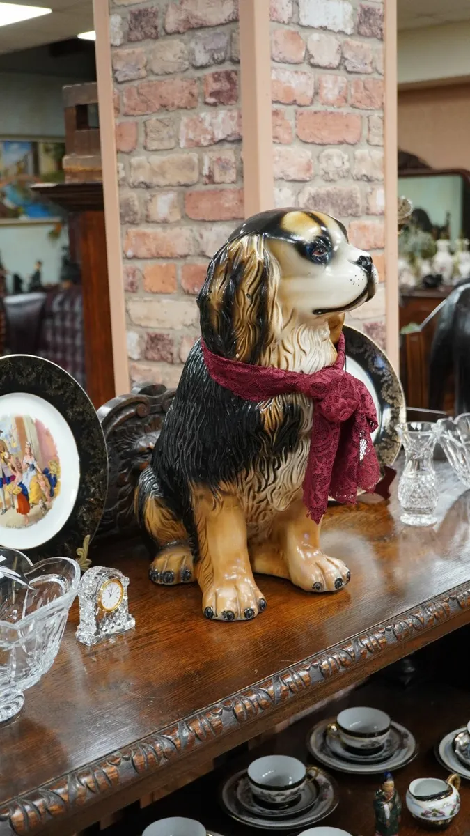 Big Friendly Dog - Image 2