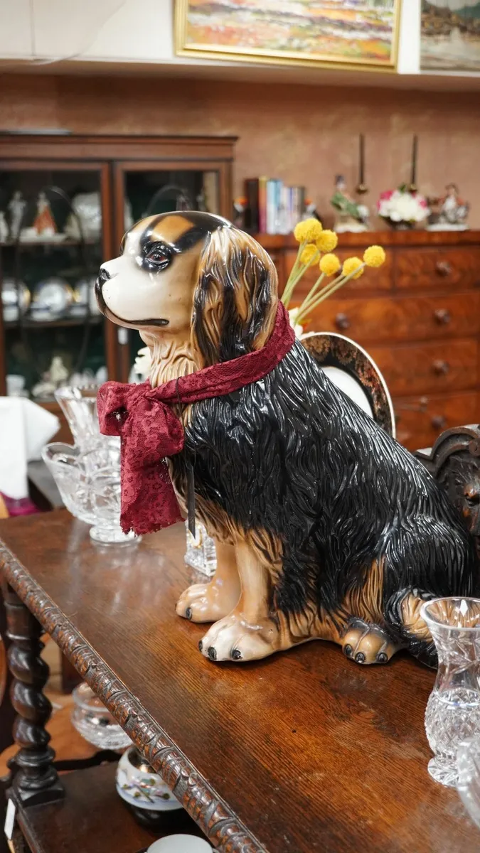 Big Friendly Dog - Image 3