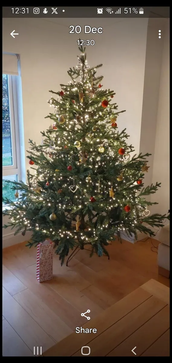 Christmas tree - Image 2