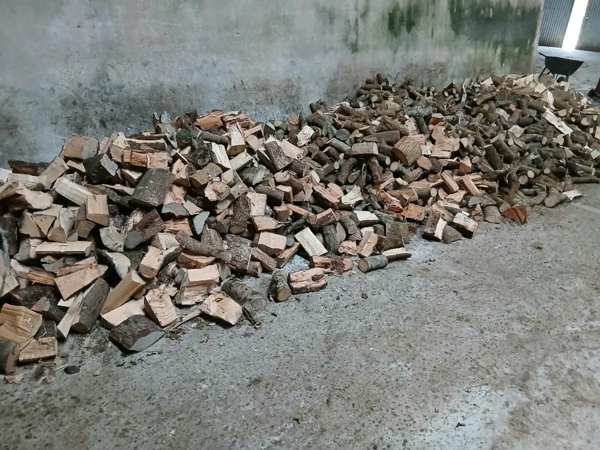 Firewood ready to burn - Image 2