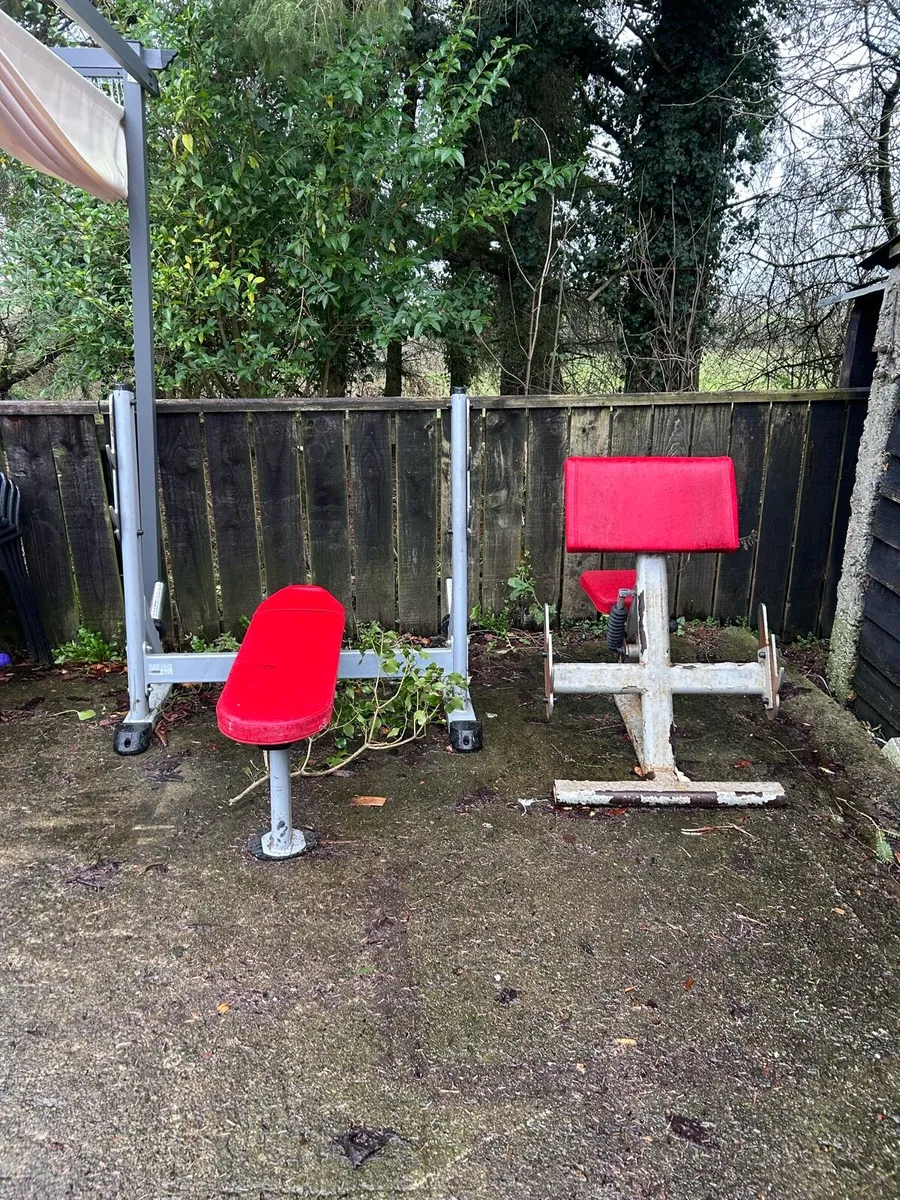 Preacher curl and commercial bench press