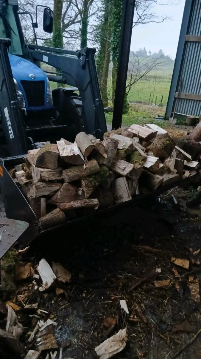 Firewood - Image 2