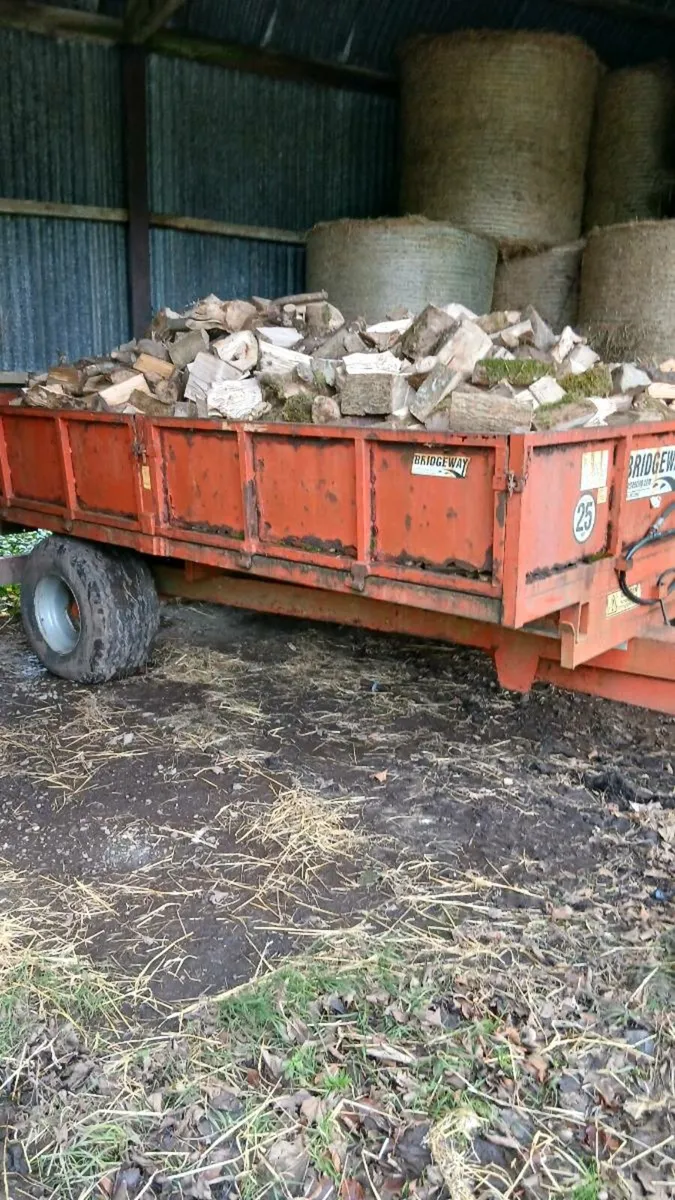 Firewood - Image 3