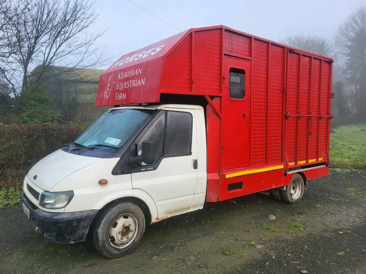 Ford Transit Horsebox - Image 2