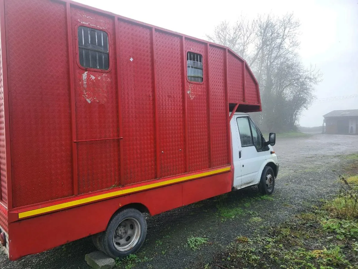 Ford Transit Horsebox - Image 3