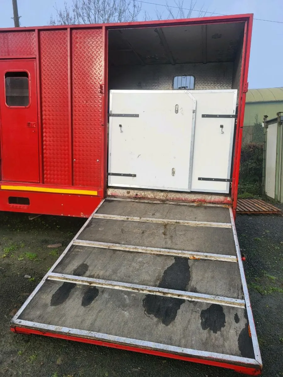 Ford Transit Horsebox - Image 4