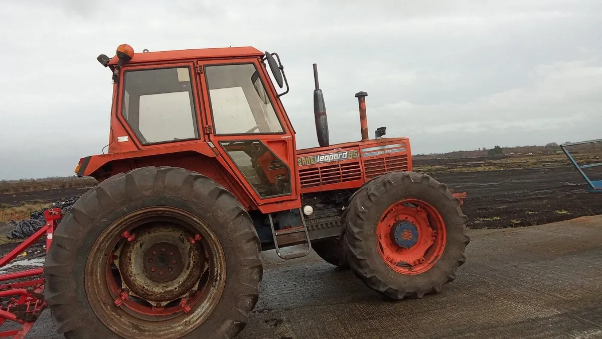 Same Leopard 85 - Image 3