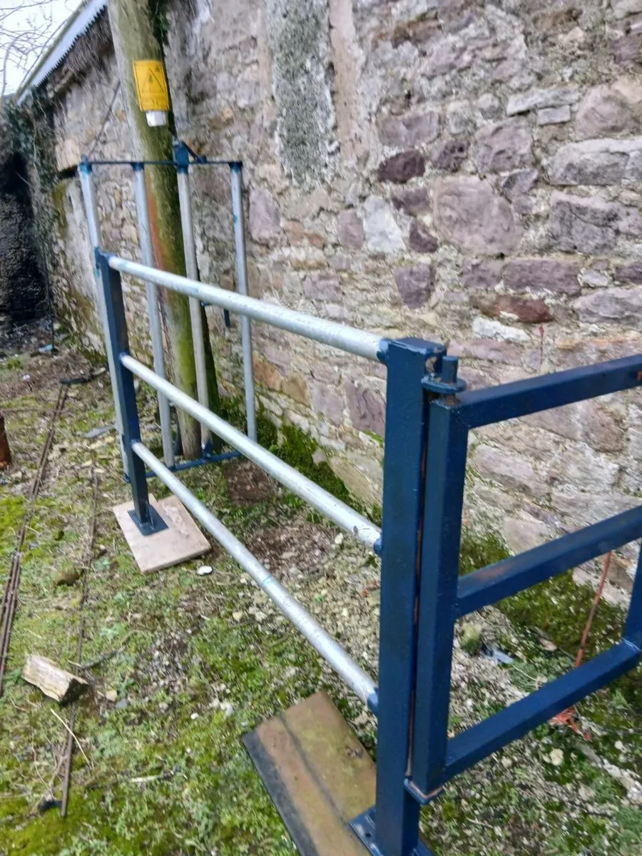 Cattle crush - Image 2