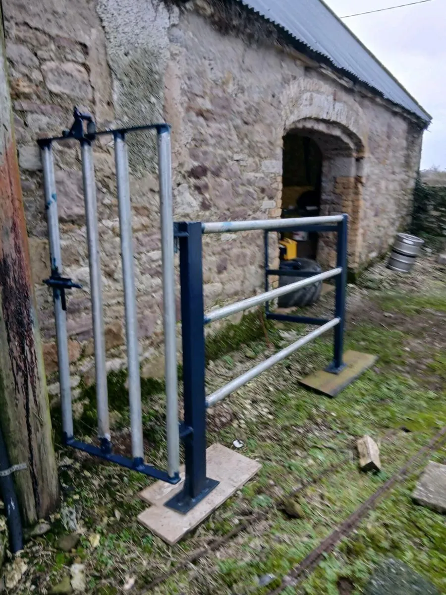 Cattle crush - Image 3