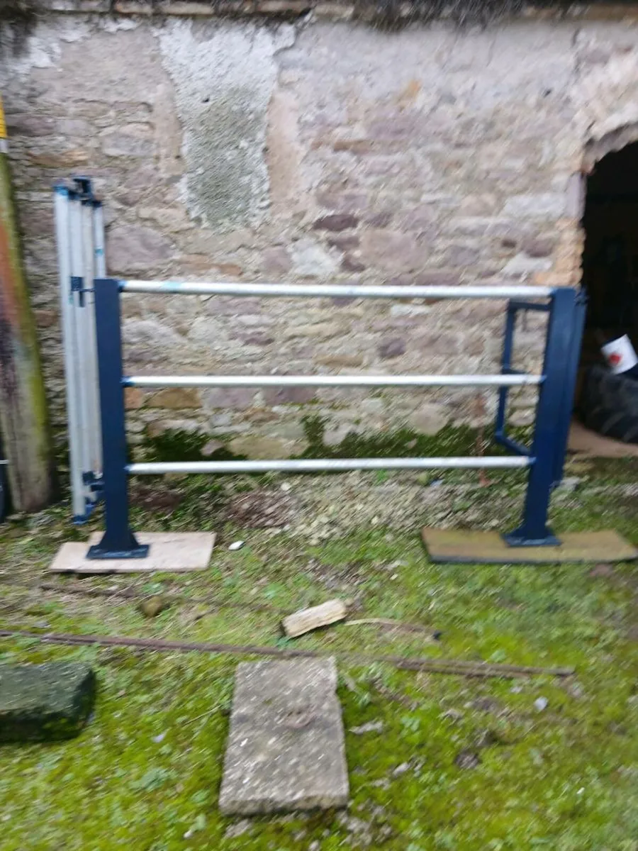 Cattle crush - Image 4