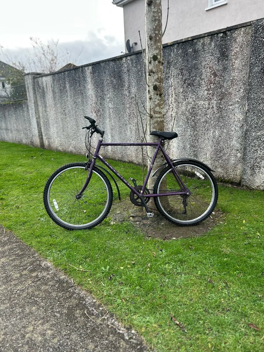 Vintage 1995 Raleigh mtb - Image 1