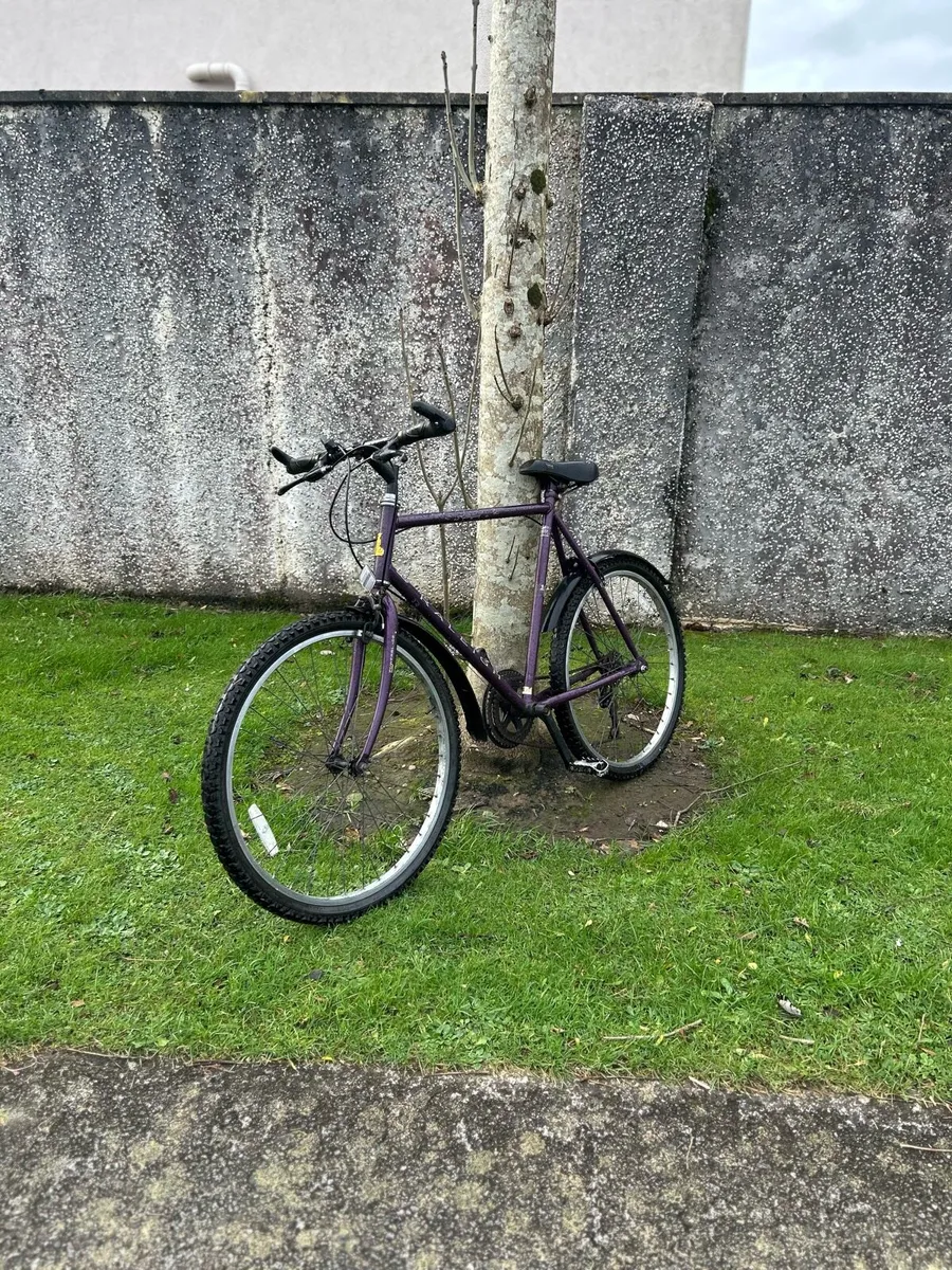 Vintage 1995 Raleigh mtb - Image 2