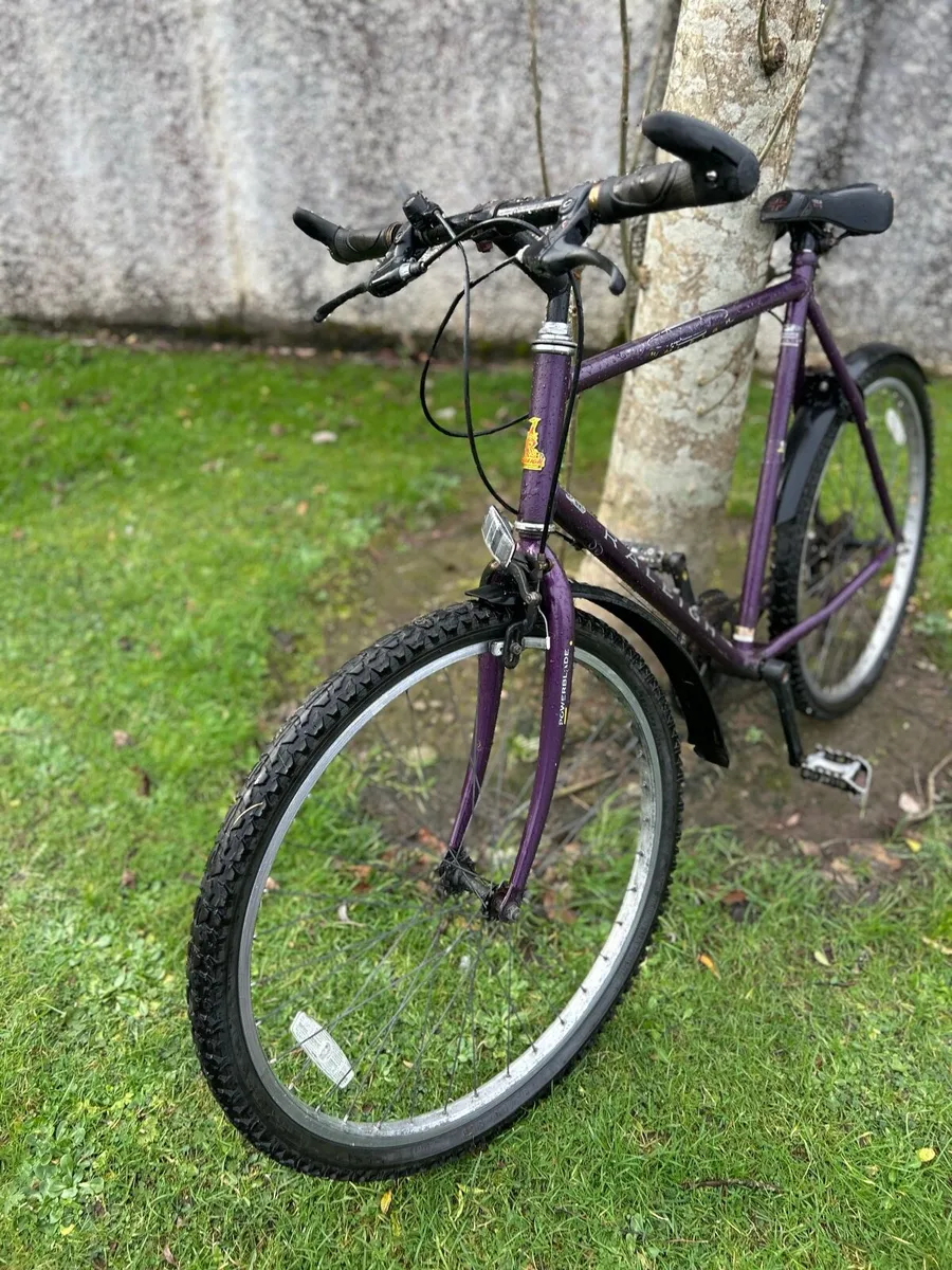 Vintage 1995 Raleigh mtb - Image 3