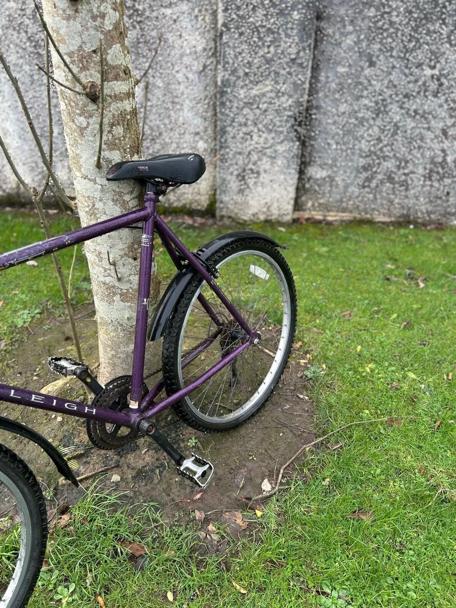 Vintage 1995 Raleigh mtb - Image 4