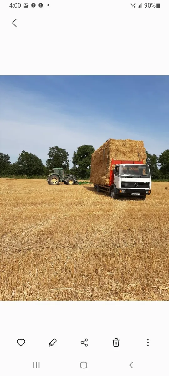 Small square bales of Hay - Image 2