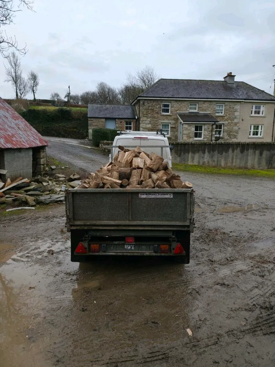 Hardwood firewood - Image 2