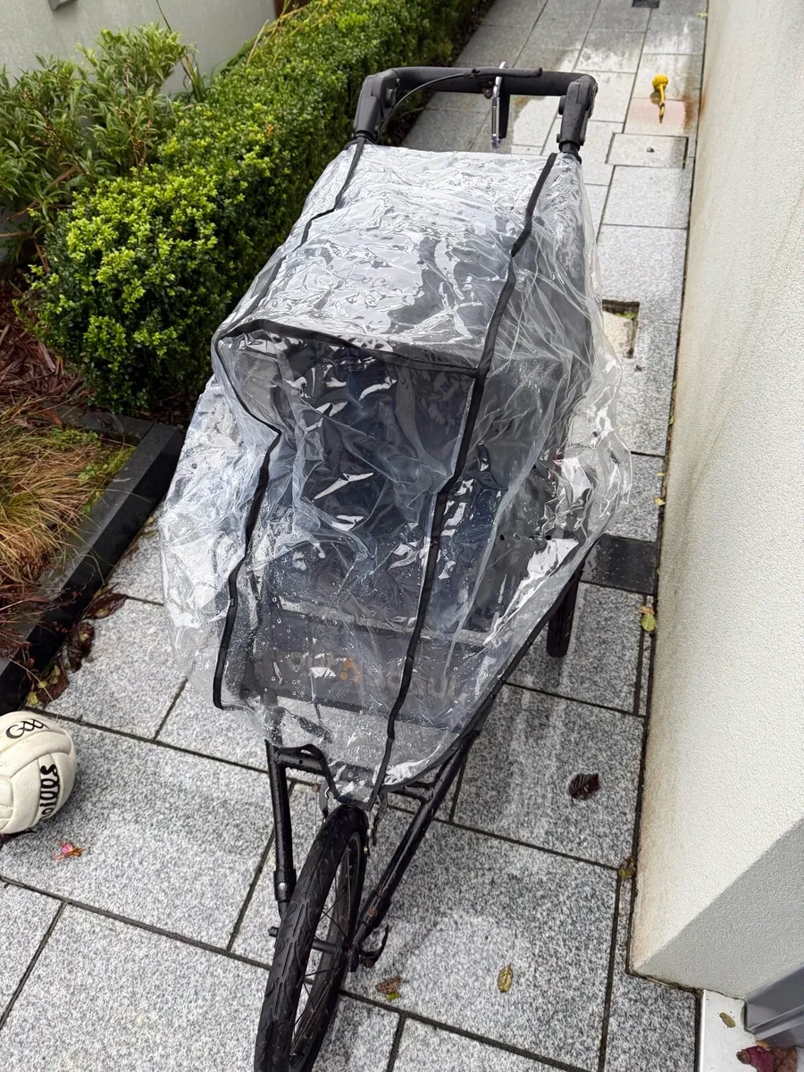 Out and about Buggy - Image 1