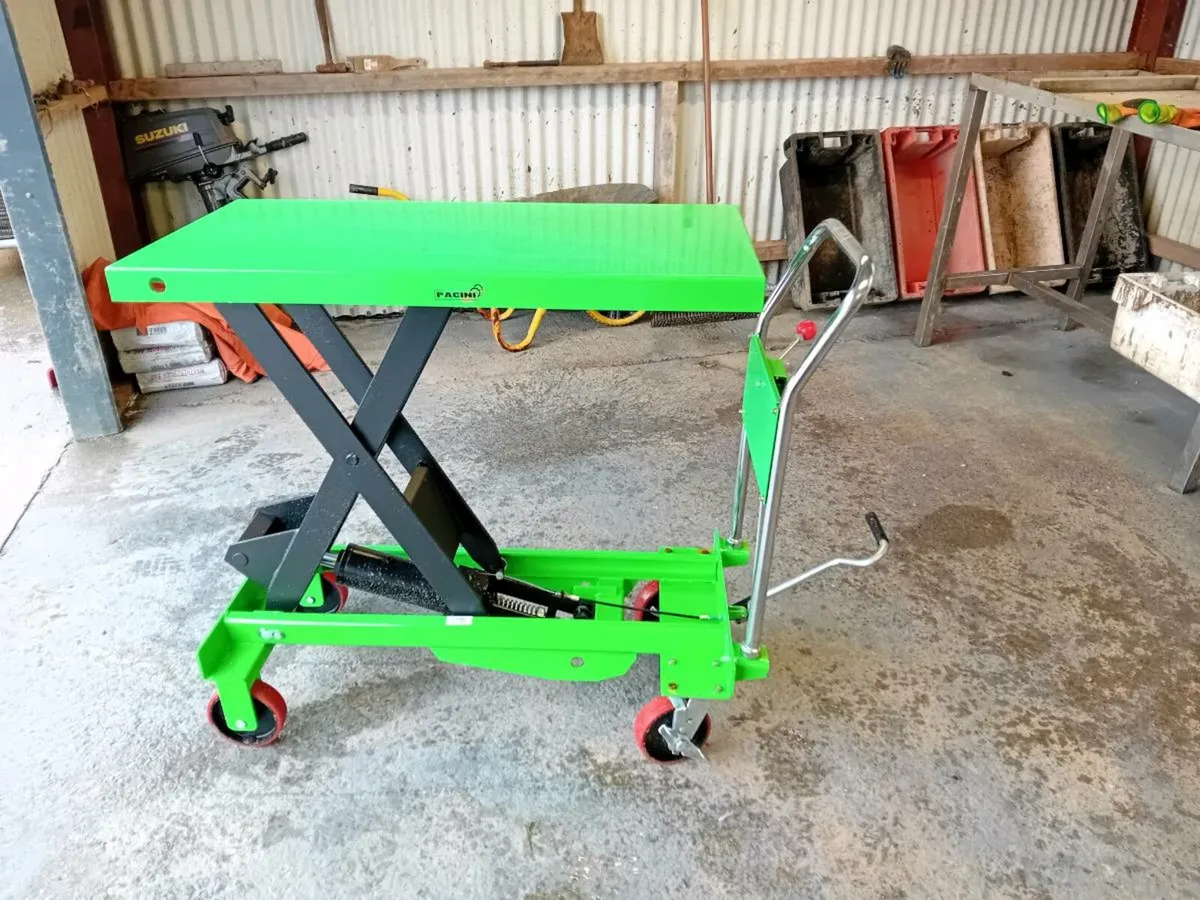 Pallet truck - Image 2