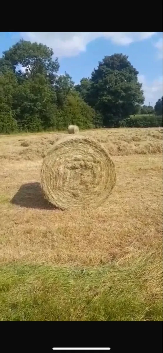 Hay and Silage bales - Image 1